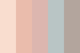 neutral skin tone palette color palette