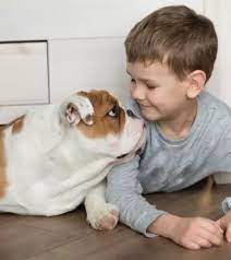 https://www.momjunction.com/articles/kid-jokes-about-dogs_00762462/ gambar png