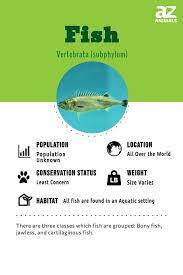 fish diffe types definitions