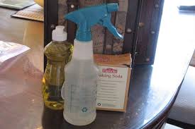 pet stain odor remover for carpet
