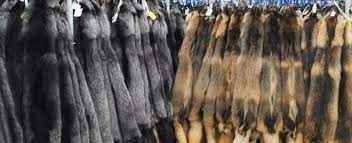 Desperate Saga Furs Moves Fur Auction