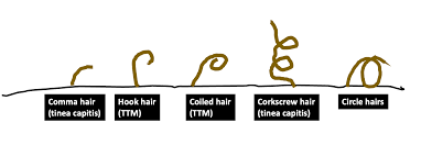 donovan hair