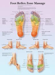 A3 Medical Poster Reflex Massage Zone Of The Foot Text