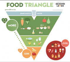 Food Triangle Motivate Health