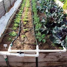 how to build a drip irrigation system
