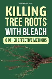 killing tree roots with bleach and