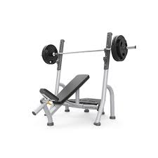 magnum series olympic incline bench mg a79