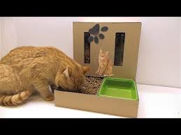 Maybe you would like to learn more about one of these? Diy Cat Food Dispenser From Cardboard At Home Youtube