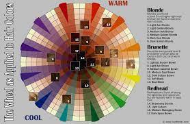 how to use the hair color wheel the