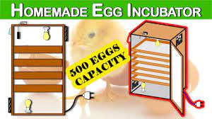 build a manual egg incubator 500