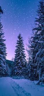 nx97-snow-winter-wood-tree-road-night ...