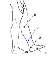 Acupressure Points For Relieving Water Retention And