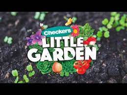 Checkers Little Garden Update And Diy