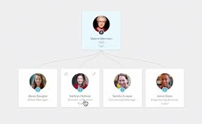 Build And Share A Beautiful Company Org Chart Pingboard