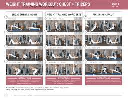 chest triceps upper body weight
