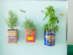 magnetic herb garden for the fridge