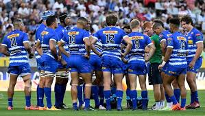 dhl stormers rugby team