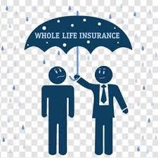 The first disadvantage of whole life insurance is the price of the policy will increase every year. Whole Life Insurance August 2021 A Complete Guide
