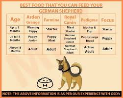 German Shepherd Puppy Feeding Chart Dogs Breeds And