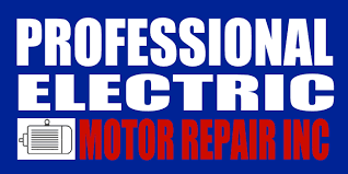 professional electric motor repair inc