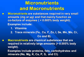 micro macronutrients treatment Ιάτωρ