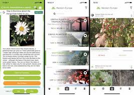 the 7 best plant identification apps of