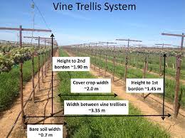 dimensions of trellis system in both