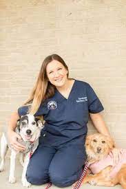 One nashville veterinary clinic is helping people recover and find peace after losing their pets. Meet Our Team City Pets Animal Care