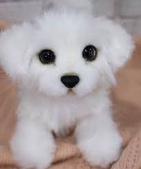 maltese puppy toy great gift for fans