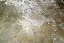 Concrete Or Garage Floor