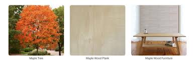 Wood For Furniture Making
