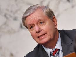 Lindsey graham is a fighter who doesn't back down from a challenge. Why Would Anyone Vote For Him Fox Host Slams Senator Lindsey Graham Just Days Before Election The Independent