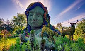 Art Of Topiary Outlook