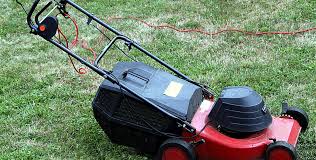 Electrify Your Lawn Care To Help Save