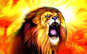 lion wallpaper 73 images
