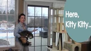 Are you sure you removed the factory protection film ,it scratches very easy but you can peel it off. Review Of Phifer Pet Screen Fabric Kitty Tested Renee Romeo Youtube