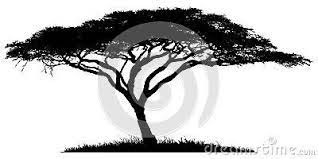 Download african tree silhouette images and use any clip art,coloring,png graphics in your website, document or presentation. Silhouette Of The Tree Acacia African Tree Tree Of Life Tattoo Bonsai Tree Tattoos
