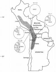 Map Depicting The Current Distribution Of Vicuñas In South