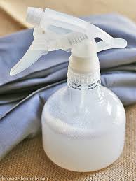 diy all purpose cleaner no vinegar