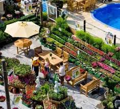 Where do you need the gardening? Dubai Garden Centre Dubai Garden Garden Center Garden Nursery