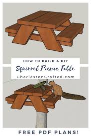 How To Make A Squirrel Picnic Table