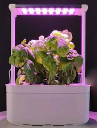 Smart Hydroponic Growing System Indoor