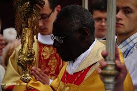 Image result for Photo of Cardinal Sarah at the Angelicum last week