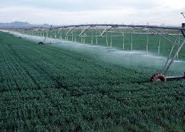 Image result for irrigating crops