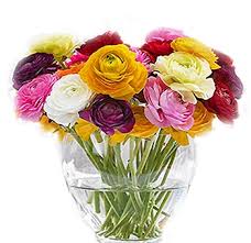 Callas lilies, roses, peonies, hydrangeas, tulips, daisies and all varieties of bulk flowers wedding flowers. Wedding Flowers Wholesale Flowers Bulk Flowers Flowers Near Me