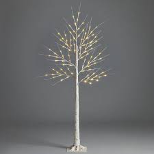 white birch tree with led