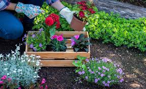 prepare your garden for a season of flowers