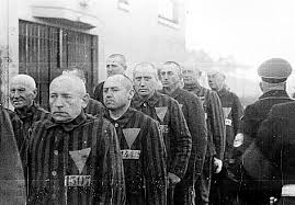 Image result for holocaust photos