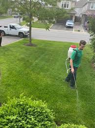 lawn weed control service renew a lawn