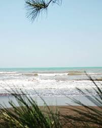 This is a beatiful beach. 5 Objek Wisata Pantai Di Batang Dengan Pemandangan Eksotis